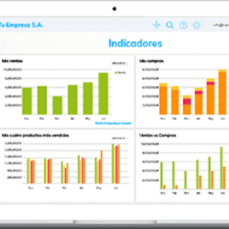 Asesoría Estados Financieros