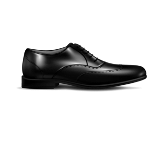 Zapato Elegante de Cuero Fino