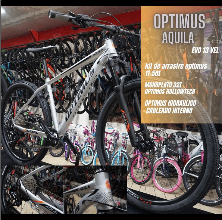 BICICLETA OPTIMUS AQUILA EVO worldbikelx37
