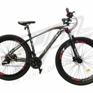 BICICLETA PROFIT BOSTONx10 World Bike LX